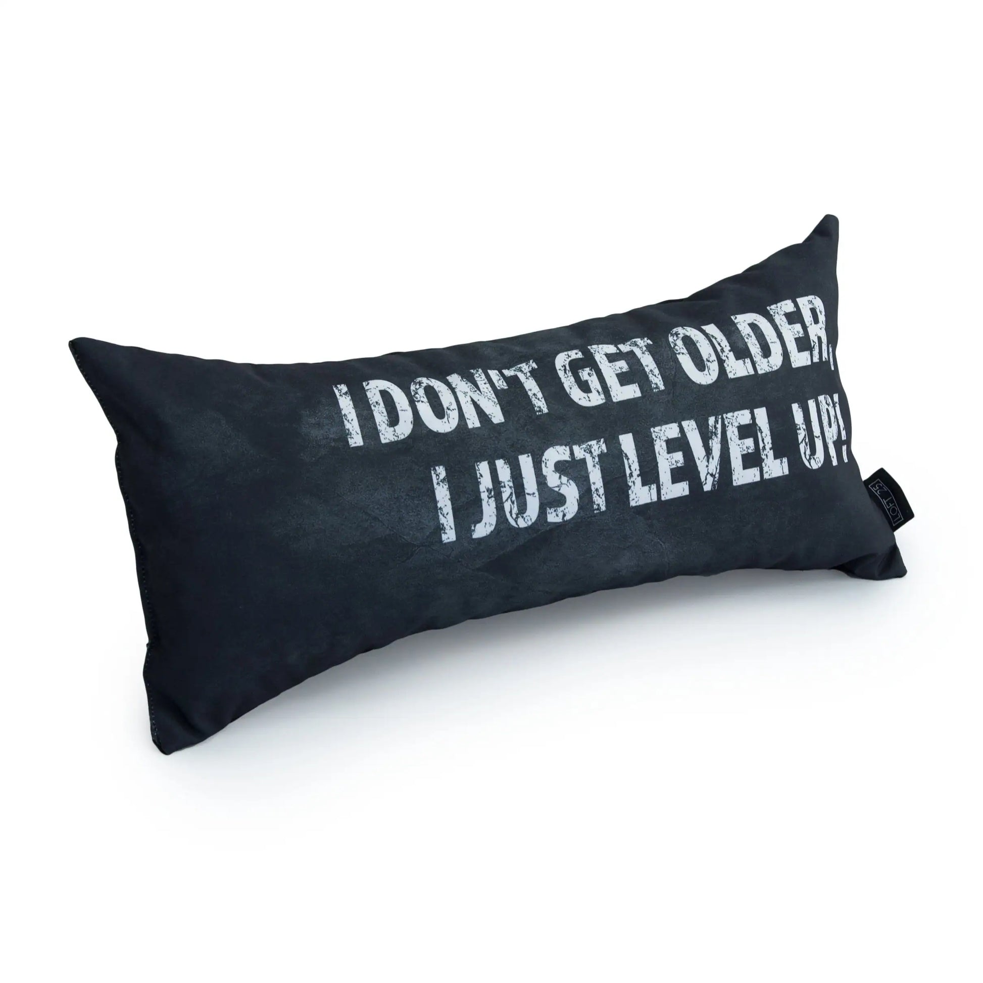 A grey rectangular pillow with the text "I don't get older, I just level up."