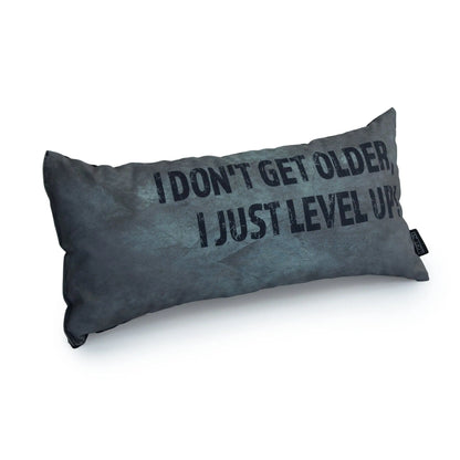 A silver rectangular pillow with the text "I don't get older, I just level up."